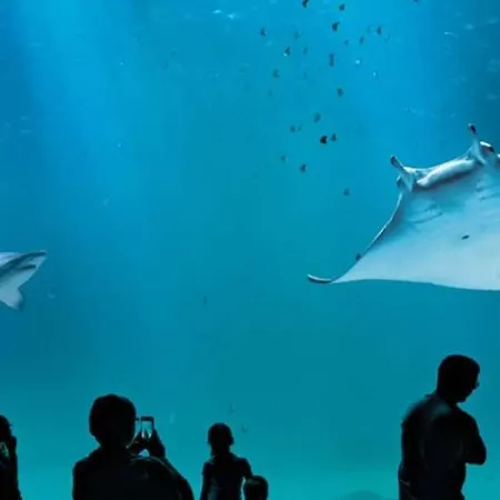 דירה Locations Sur Mer, 4 Chambres, Tamaris